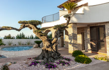 Carica l'immagine nel visualizzatore di Gallery, GARDEN DESIGN (Creo il Mio Giardino)